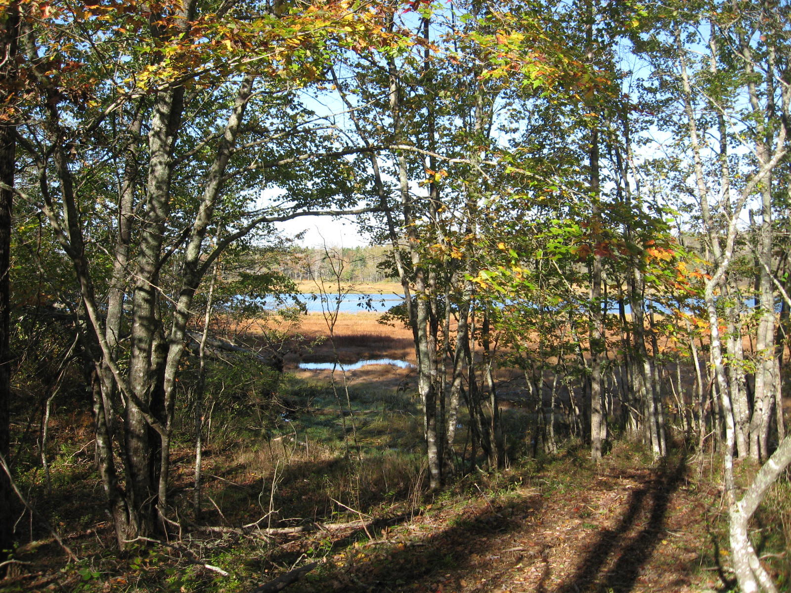 120 Wescogus Road Addison, ME 04606 - Photo 2 of 17 IMG_0001