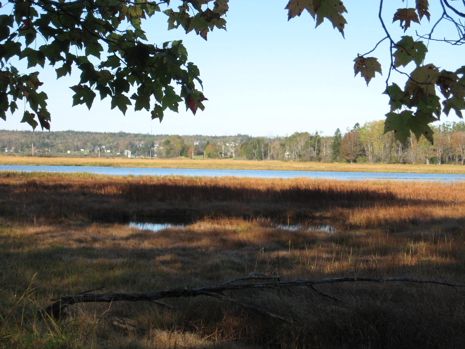 120 Wescogus Road Addison, ME 04606 - Photo 3 of 17 IMG_0002