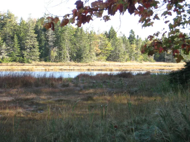 $59,000 | 120 Wescogus Road, Addison, ME 04606