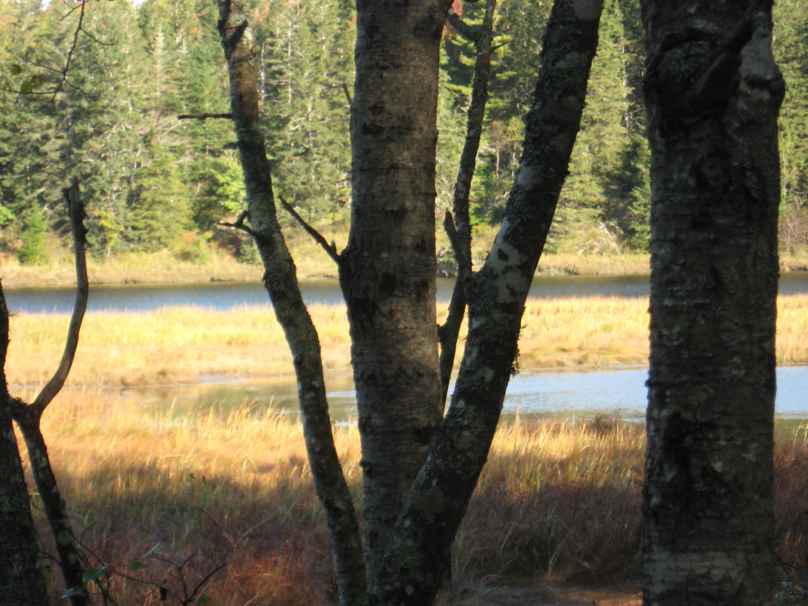 120 Wescogus Road Addison, ME 04606 - Photo 8 of 17 IMG_0007