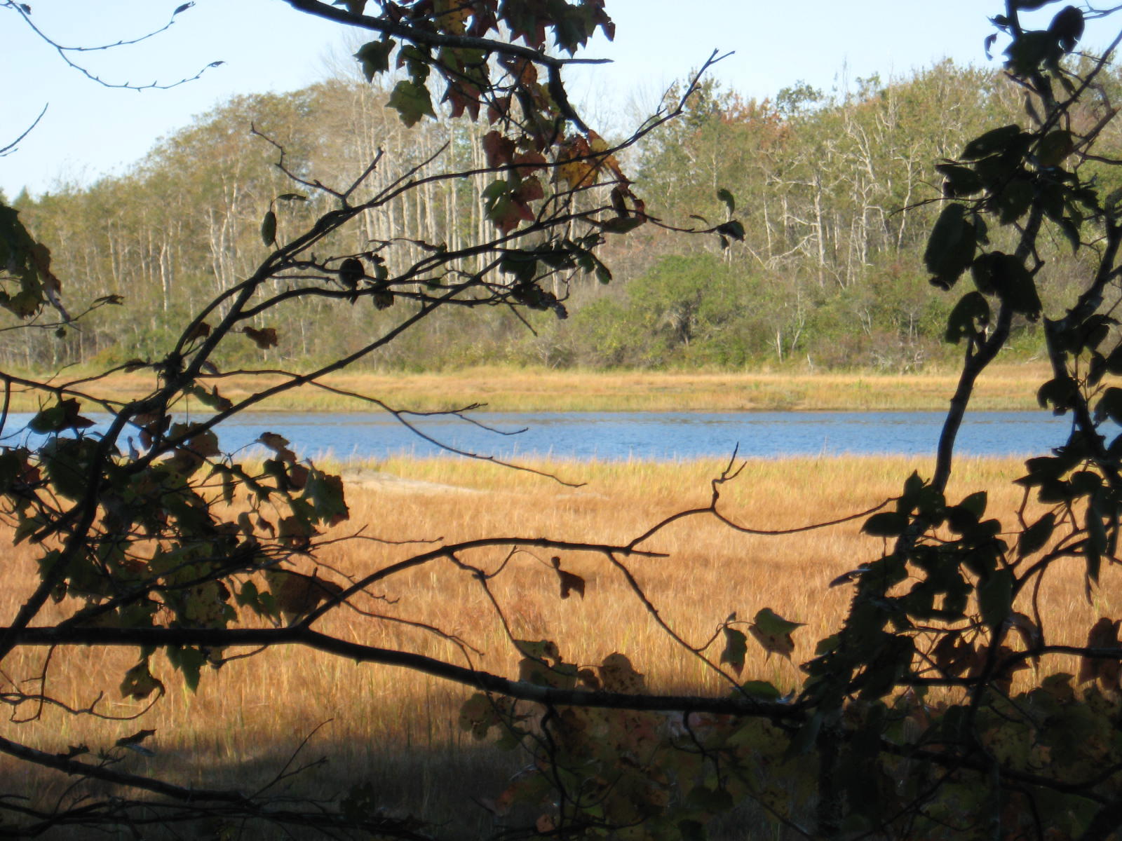 120 Wescogus Road Addison, ME 04606 - Photo 9 of 17 IMG_0008