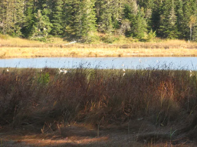 $59,000 | 120 Wescogus Road, Addison, ME 04606