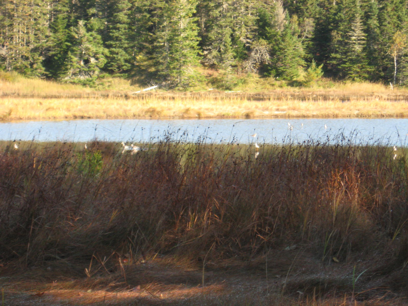 120 Wescogus Road Addison, ME 04606 - Photo 10 of 17 IMG_0009