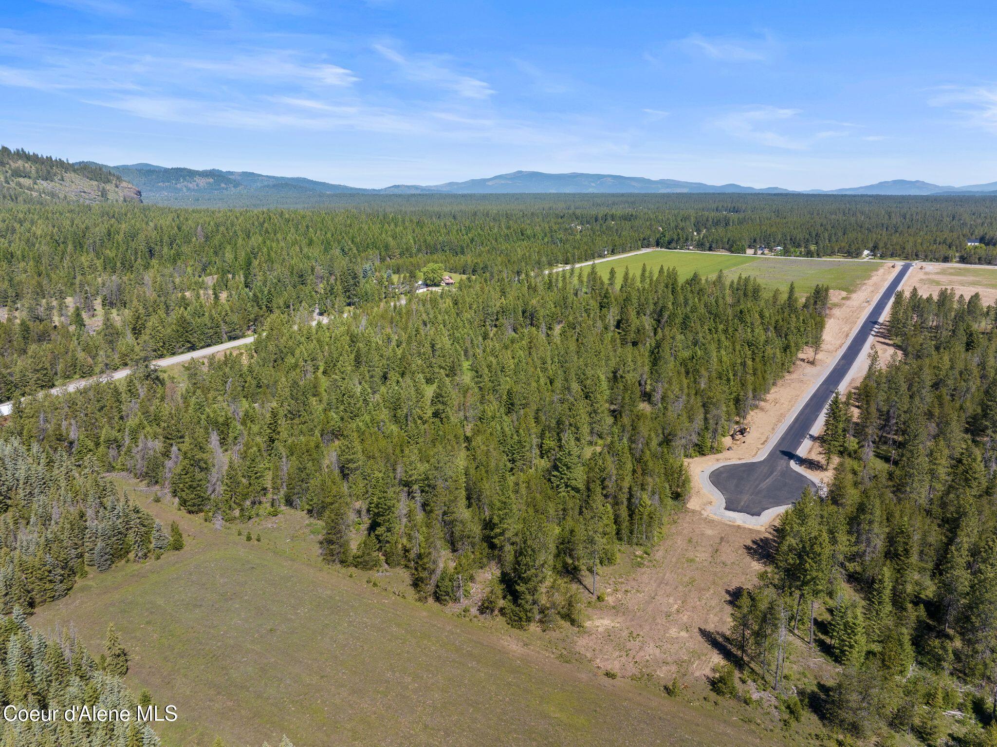 5 Ellington Court Rathdrum, ID 83858 - Photo 14 of 19 Aerial