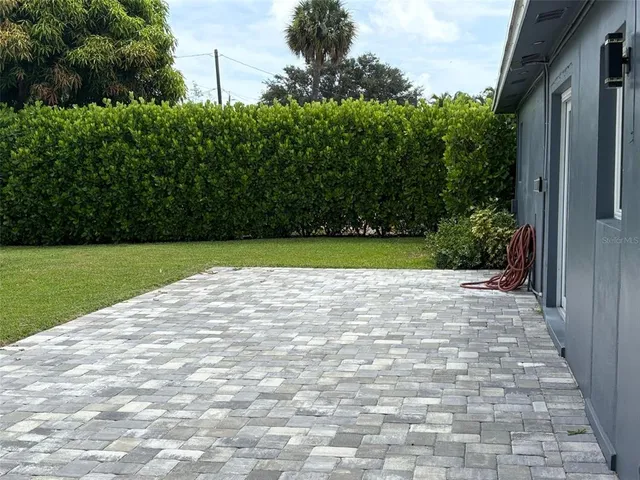 a view of lot of trees and small yard