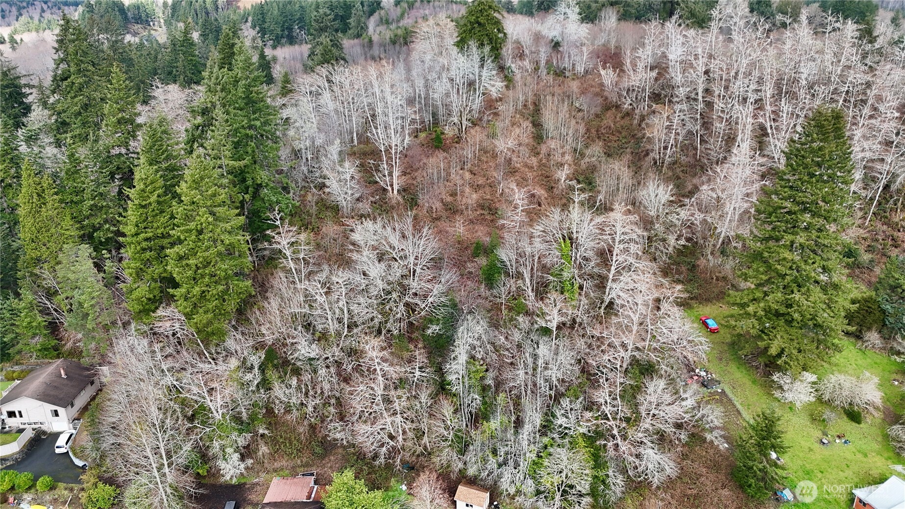 0 Grove Avenue Raymond, WA 98577 - Photo 4 of 8