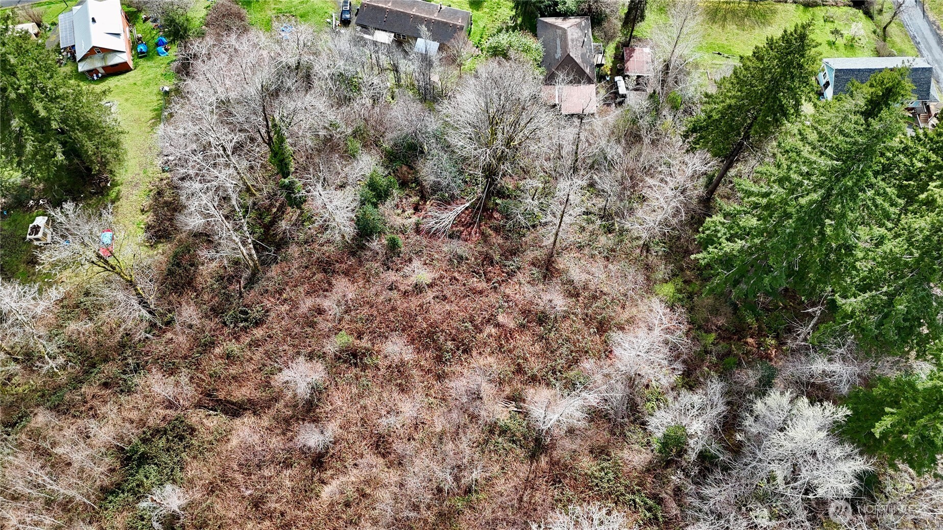 0 Grove Avenue Raymond, WA 98577 - Photo 5 of 8