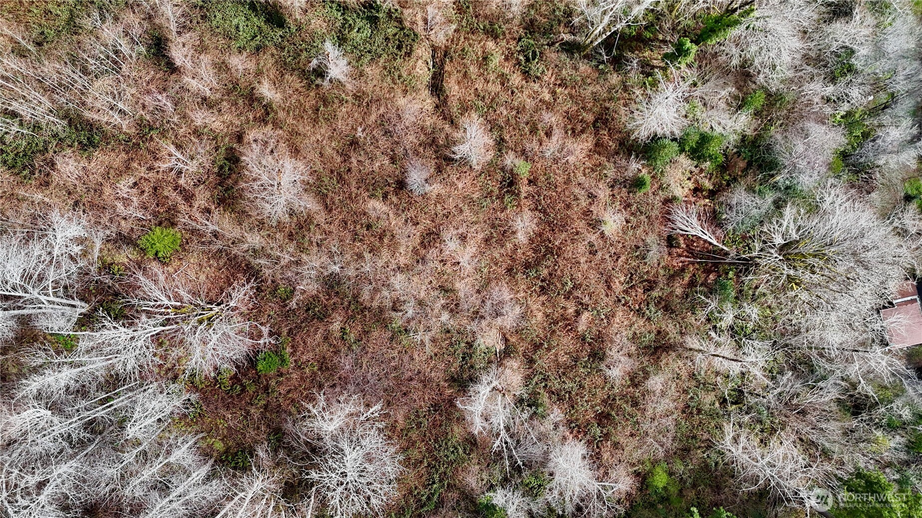 0 Grove Avenue Raymond, WA 98577 - Photo 6 of 8