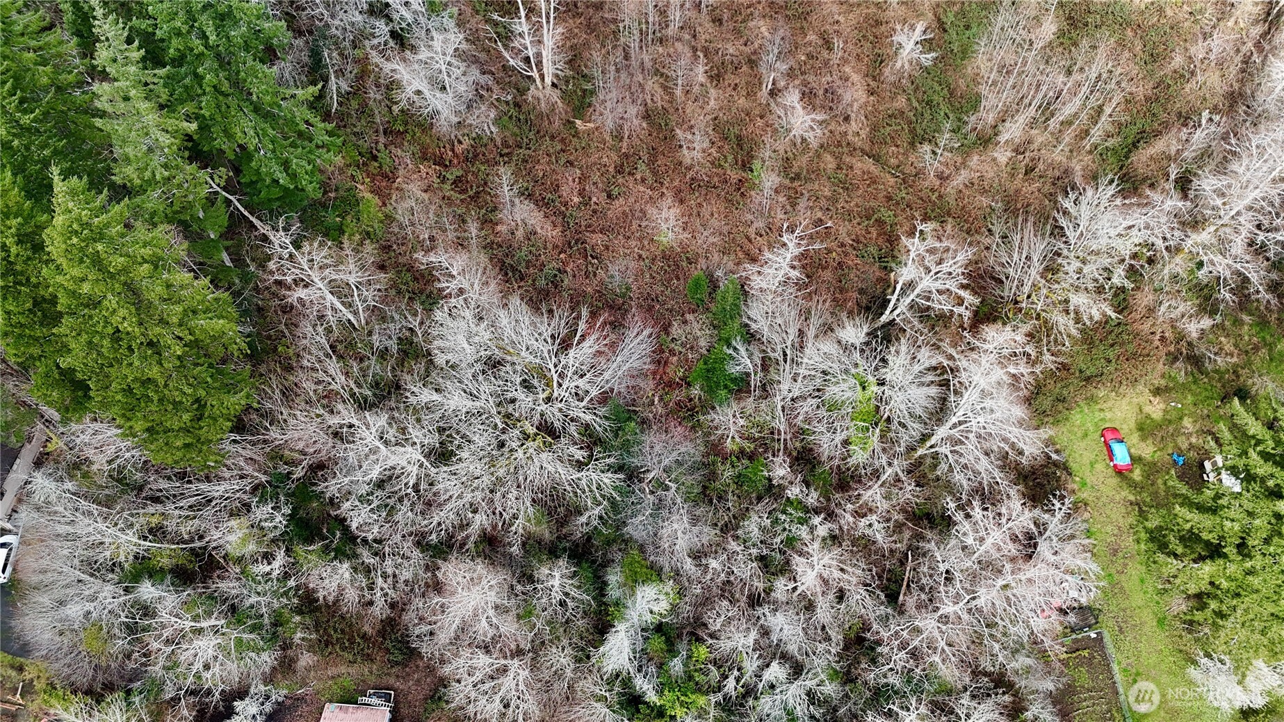 0 Grove Avenue Raymond, WA 98577 - Photo 7 of 8