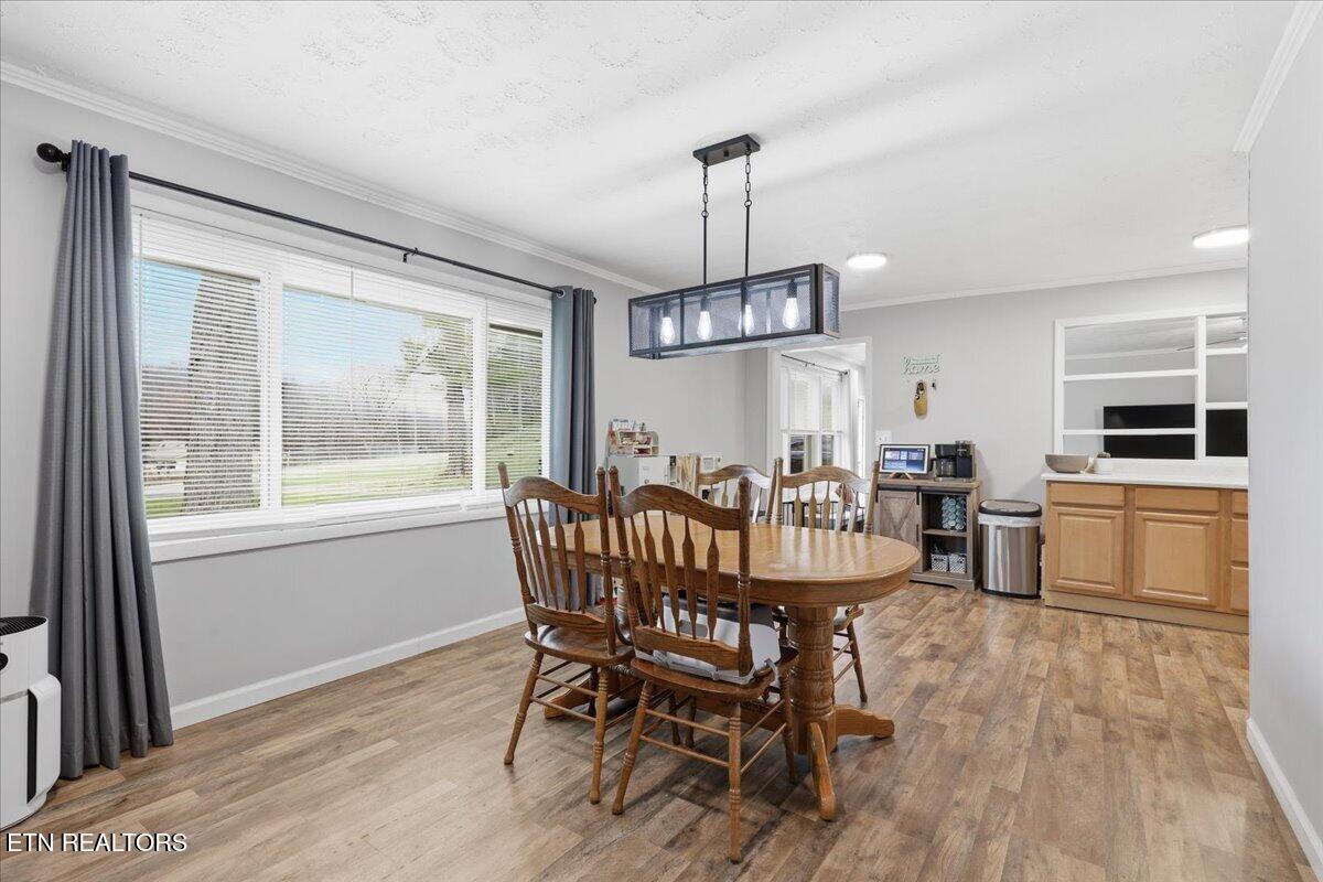 488 Long Hollow Road Maryville, TN 37801 - Photo 14 of 38 11-013_7K9A6917