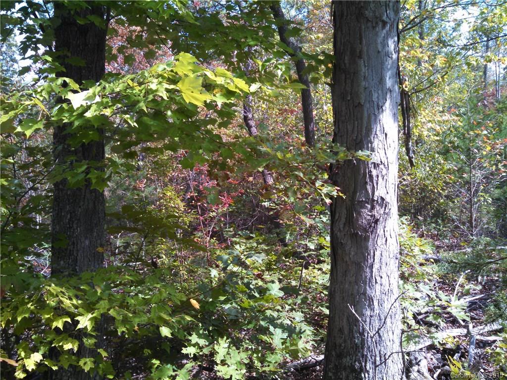 7251 Campground Road Denver, NC 28037 - Photo 3 of 6 Gallery Image 3