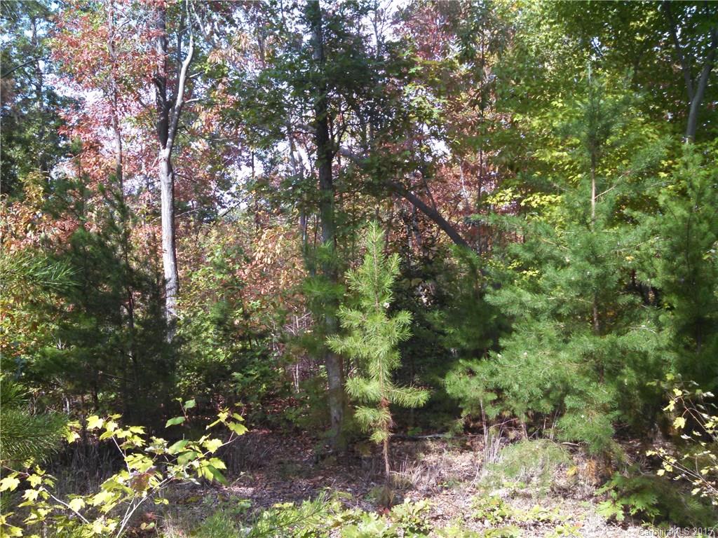 7251 Campground Road Denver, NC 28037 - Photo 5 of 6 Gallery Image 5