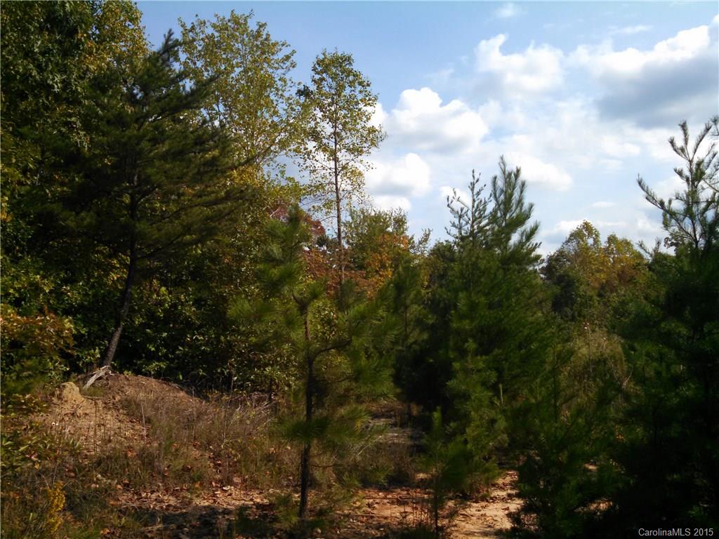 7251 Campground Road Denver, NC 28037 - Photo 6 of 6 Gallery Image 6
