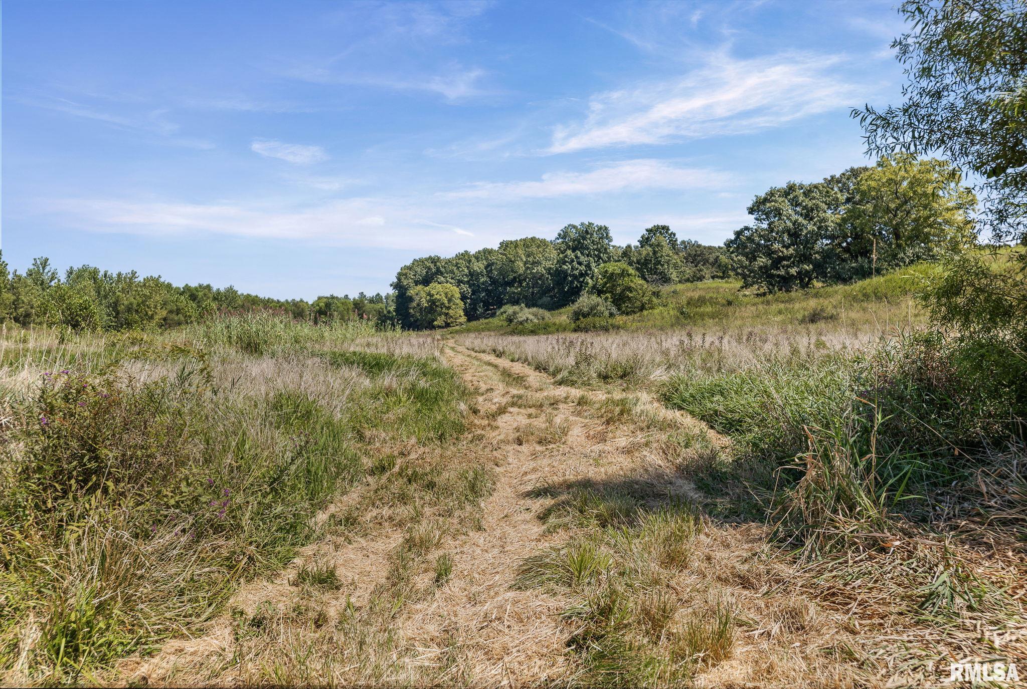 520 Deerfield Road Walnut Hill, IL 62893 - Photo 12 of 85