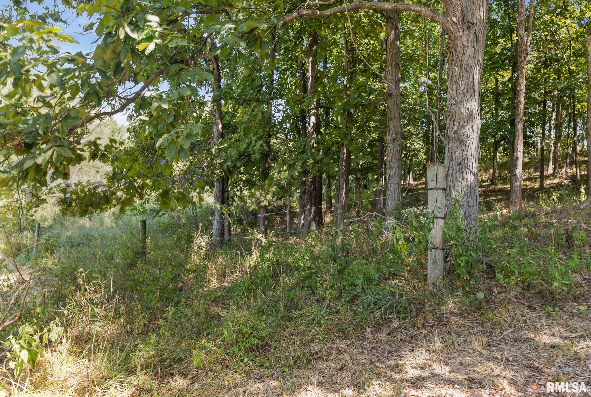 520 Deerfield Road Walnut Hill, IL 62893 - Photo 14 of 85