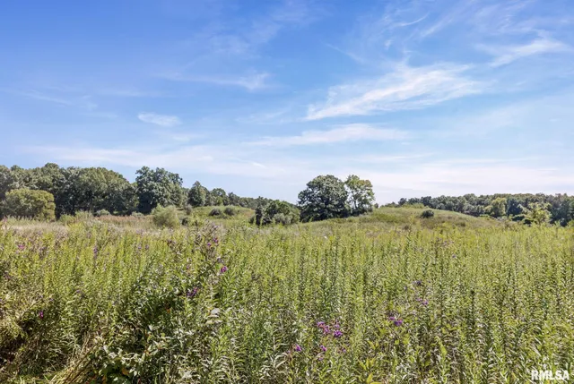 $1,800,000 | 520 Deerfield Road, Walnut Hill, IL 62893