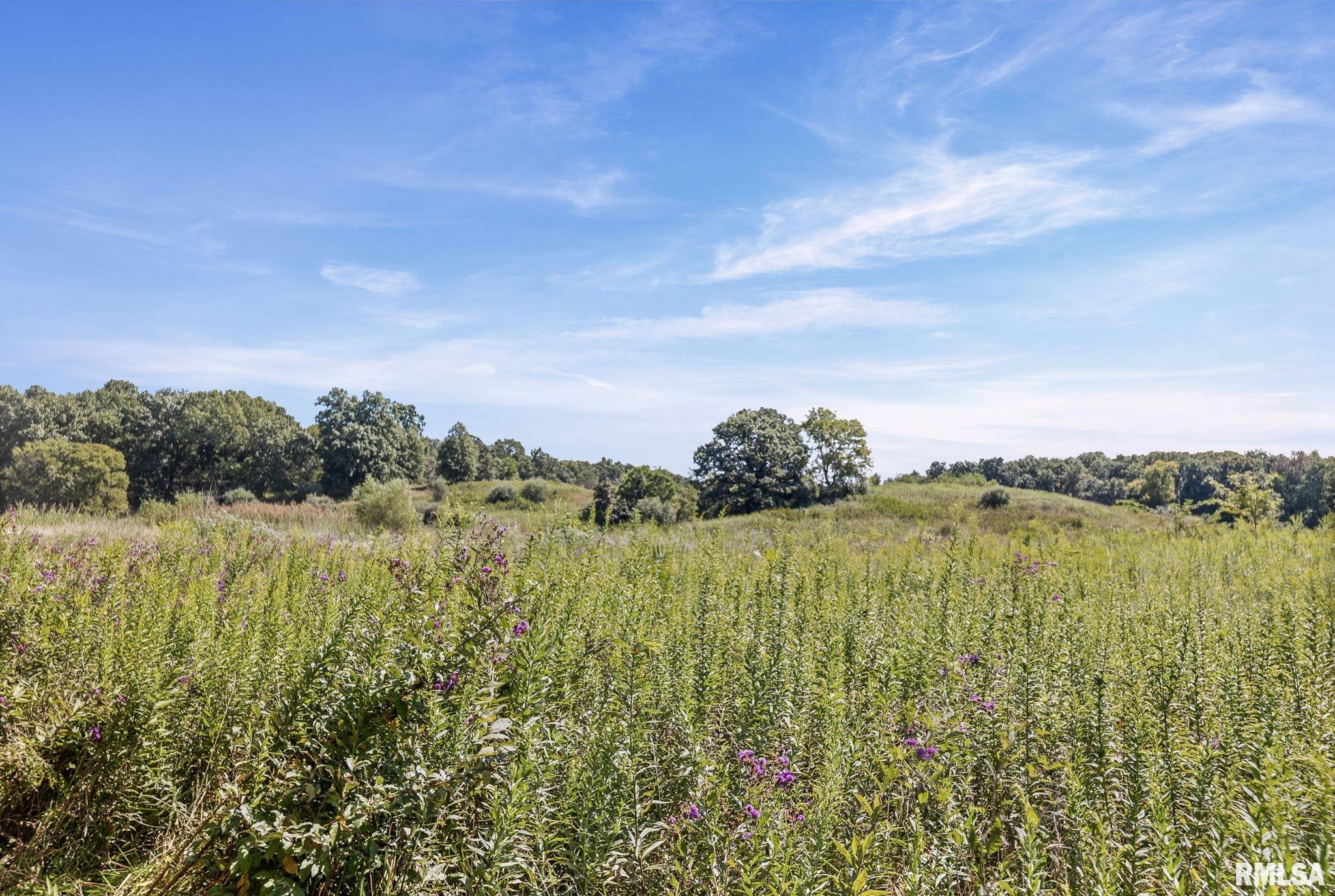 520 Deerfield Road Walnut Hill, IL 62893 - Photo 16 of 85