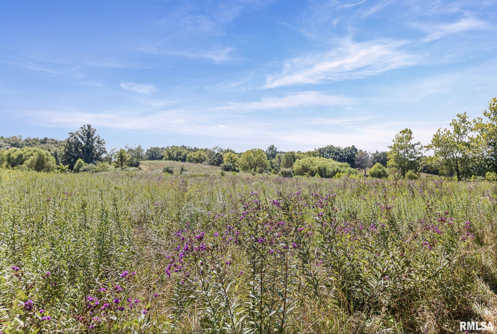 520 Deerfield Road Walnut Hill, IL 62893 - Photo 17 of 85