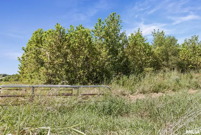 $1,800,000 | 520 Deerfield Road, Walnut Hill, IL 62893