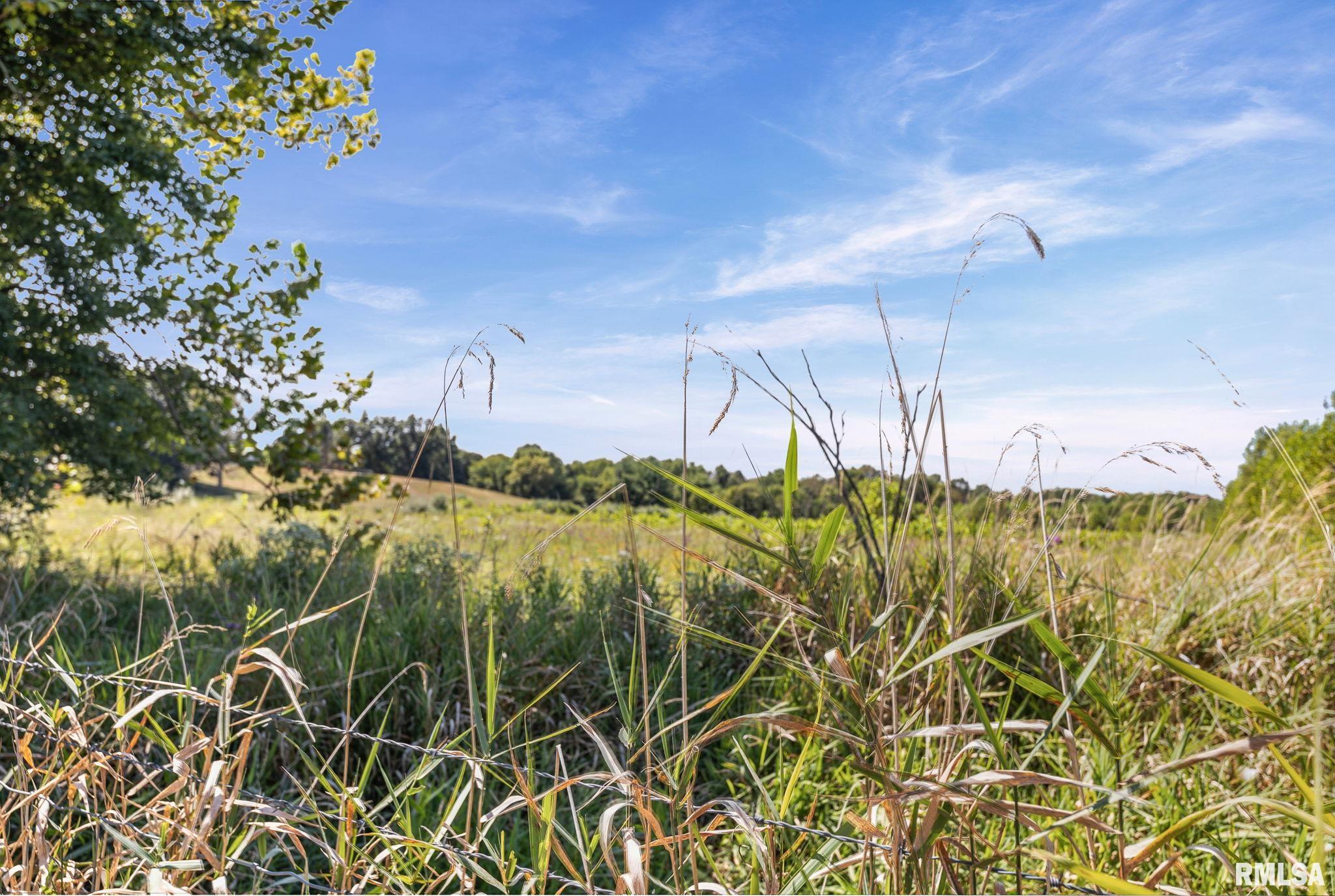 520 Deerfield Road Walnut Hill, IL 62893 - Photo 19 of 85