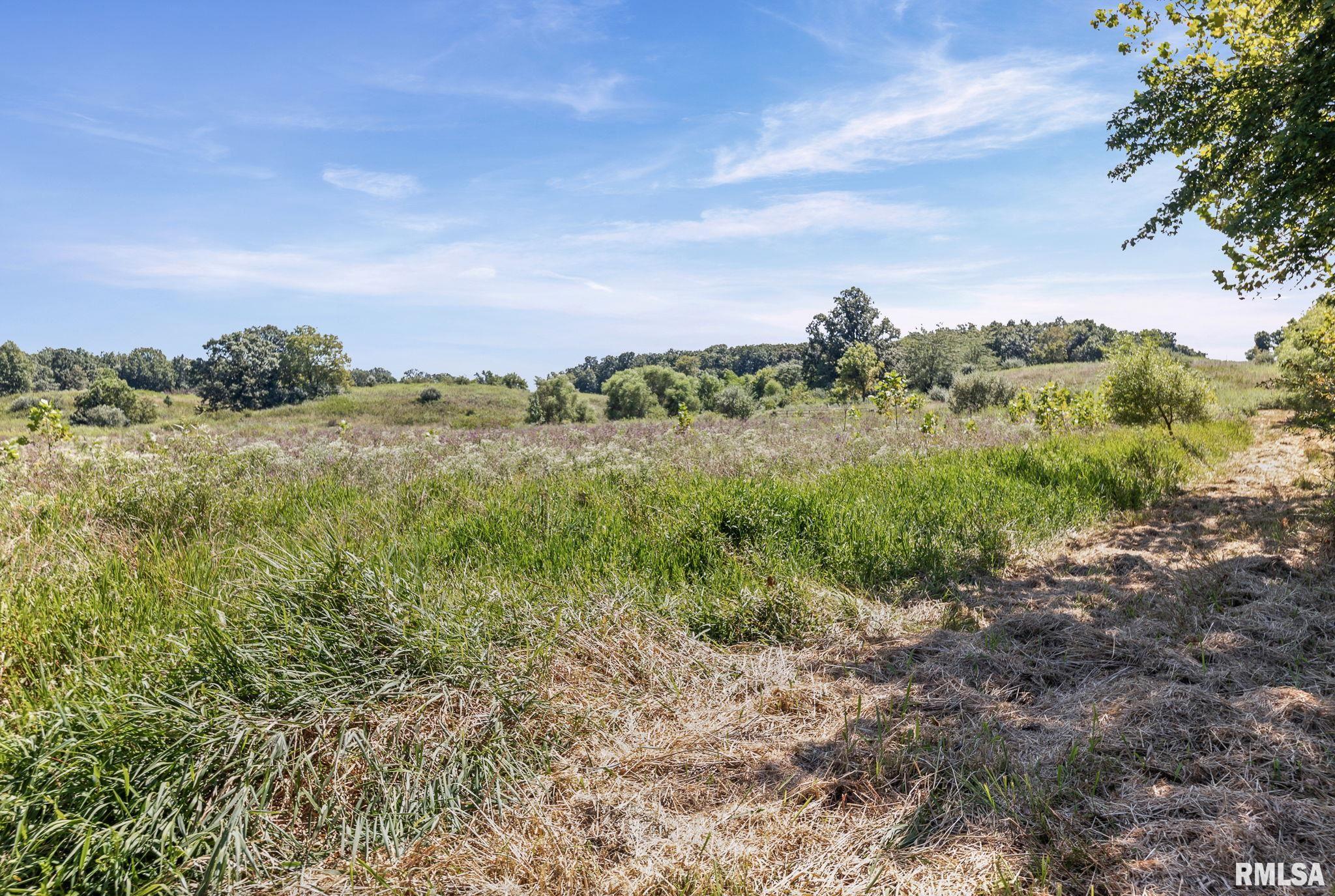 520 Deerfield Road Walnut Hill, IL 62893 - Photo 20 of 85