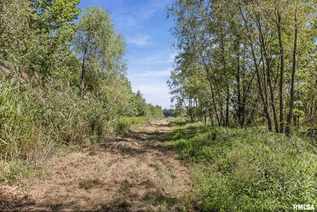 $1,800,000 | 520 Deerfield Road, Walnut Hill, IL 62893