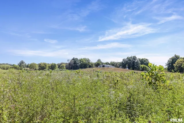 $1,800,000 | 520 Deerfield Road, Walnut Hill, IL 62893
