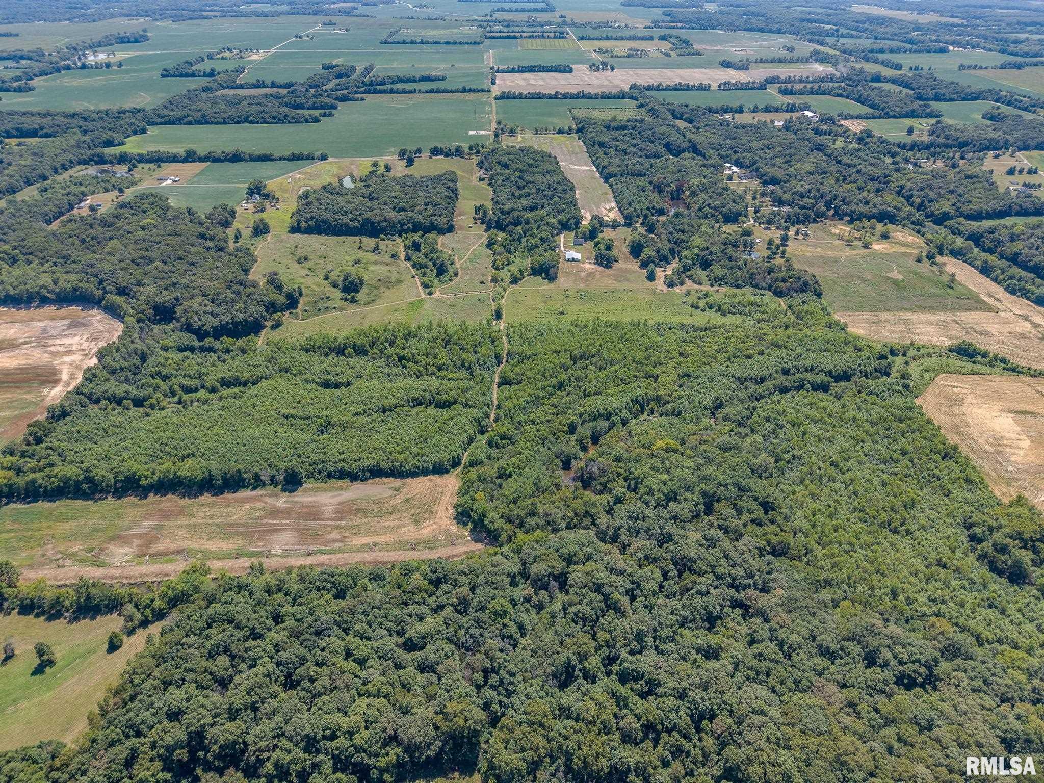 520 Deerfield Road Walnut Hill, IL 62893 - Photo 77 of 85