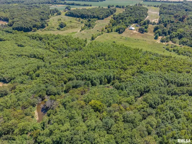 $1,800,000 | 520 Deerfield Road, Walnut Hill, IL 62893