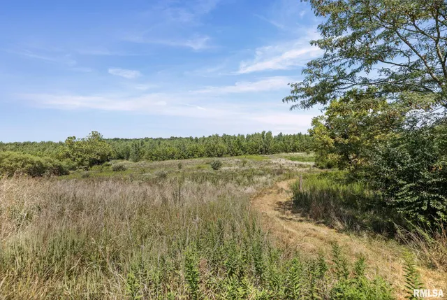 $1,800,000 | 520 Deerfield Road, Walnut Hill, IL 62893