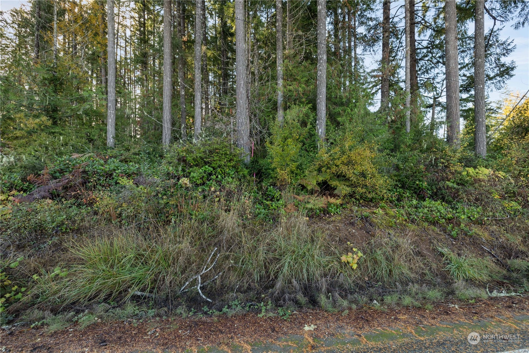 350 East McReavy Road Union, WA 98592 - Photo 9 of 11 Gallery Image 9