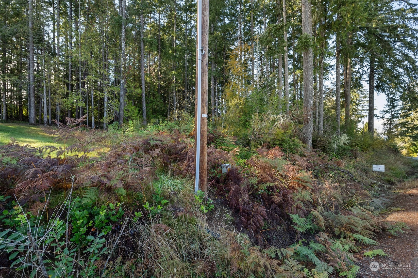 350 East McReavy Road Union, WA 98592 - Photo 10 of 11 Gallery Image 10
