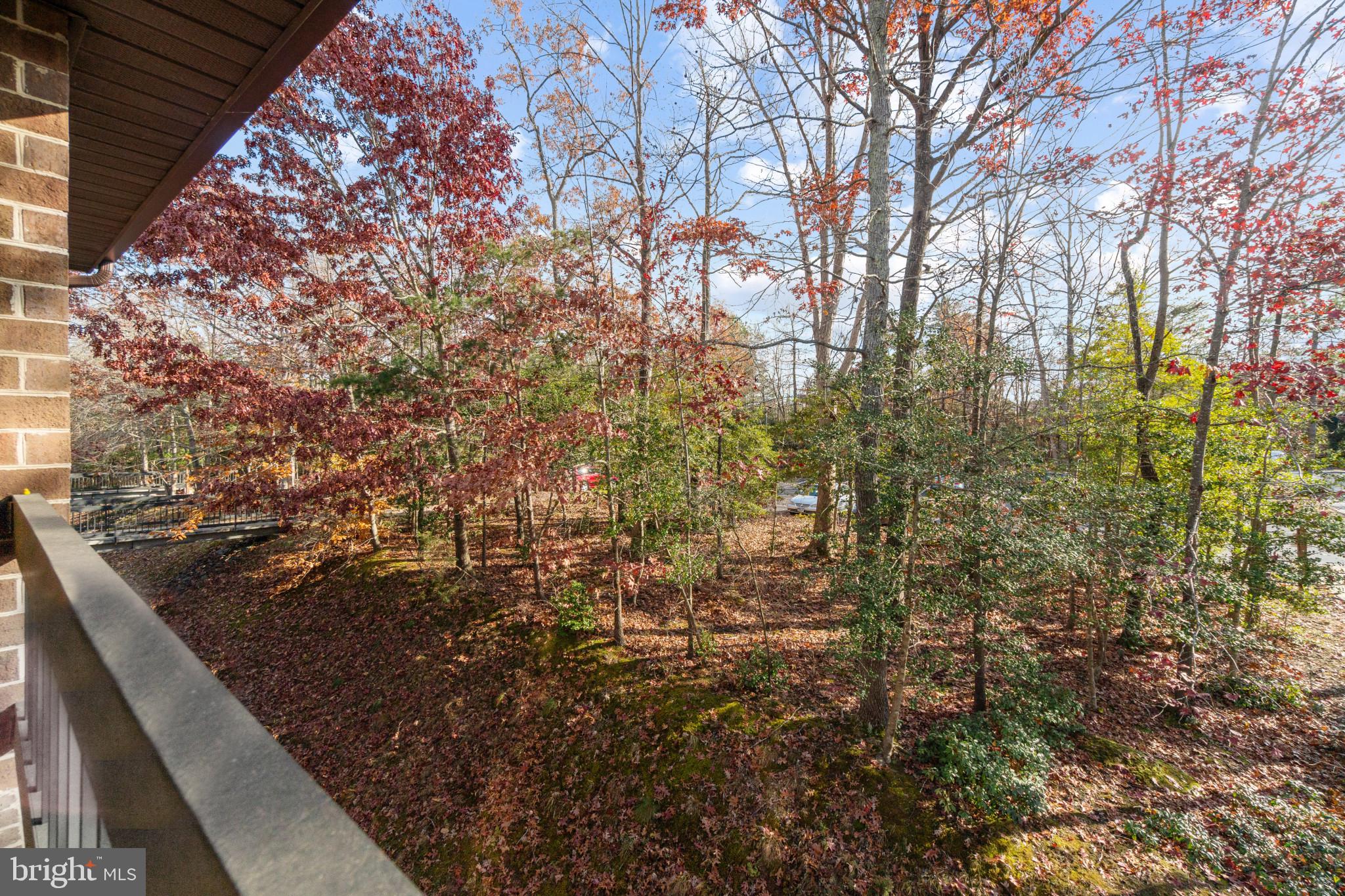 44788 Locust Ridge Court, Unit 836 California, MD 20619 - Photo 20 of 24 Gallery Image 20