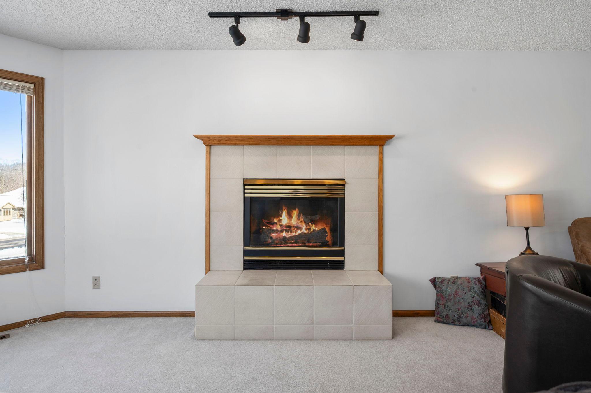 6724 Timber Crest Drive Maple Grove, MN 55311 - Photo 10 of 28