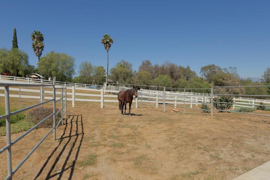 161 Lemon Grove Drive Fallbrook, CA 92028 - Photo 52 of 72