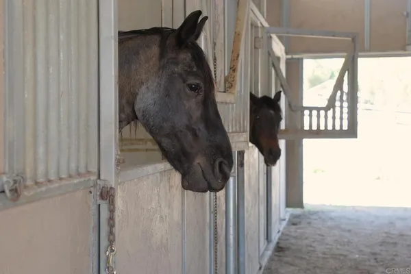 $1,795,000 | 161 Lemon Grove Drive, Fallbrook, CA 92028