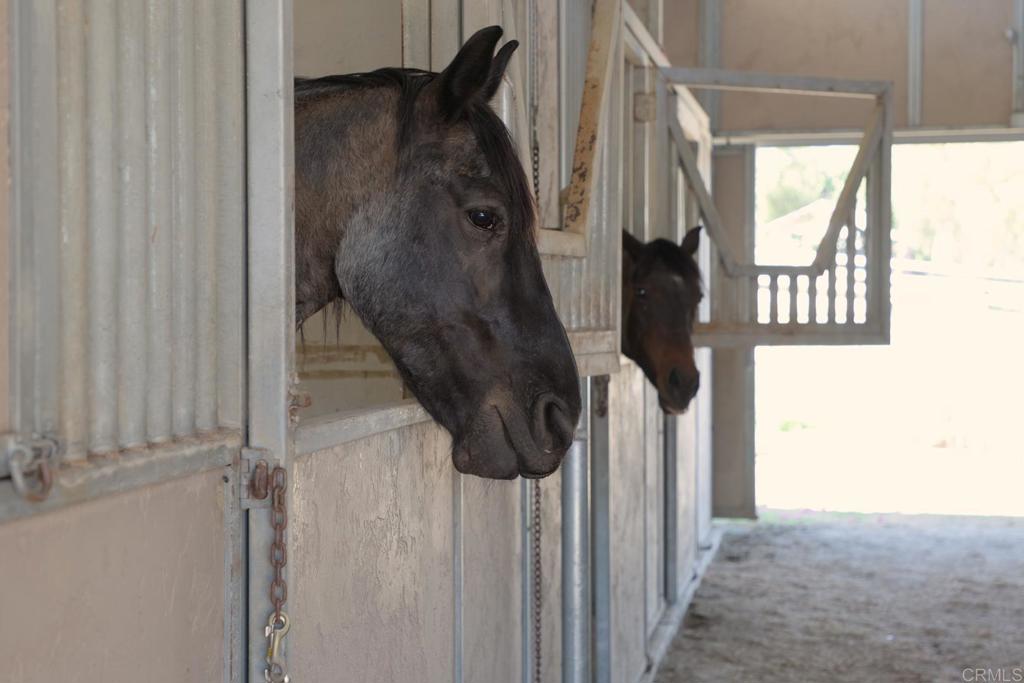 161 Lemon Grove Drive Fallbrook, CA 92028 - Photo 58 of 72