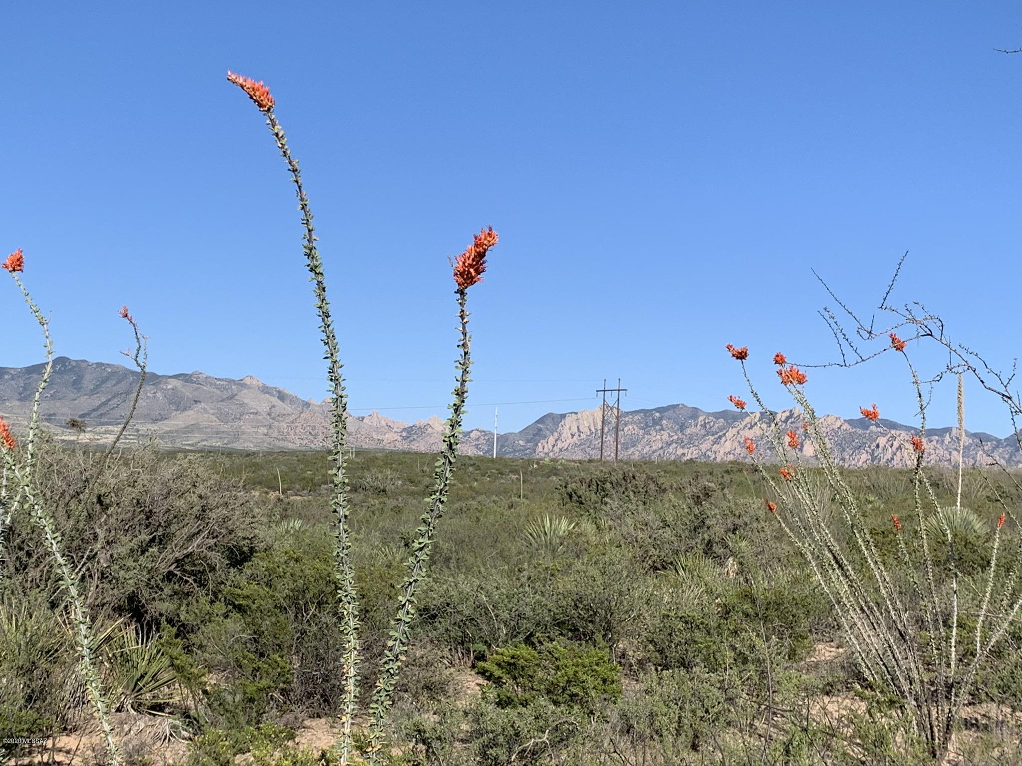 East Dragoon Ranch Road, Unit 215 St. David, AZ 85630 - Photo 1 of 10 Gallery Image 1