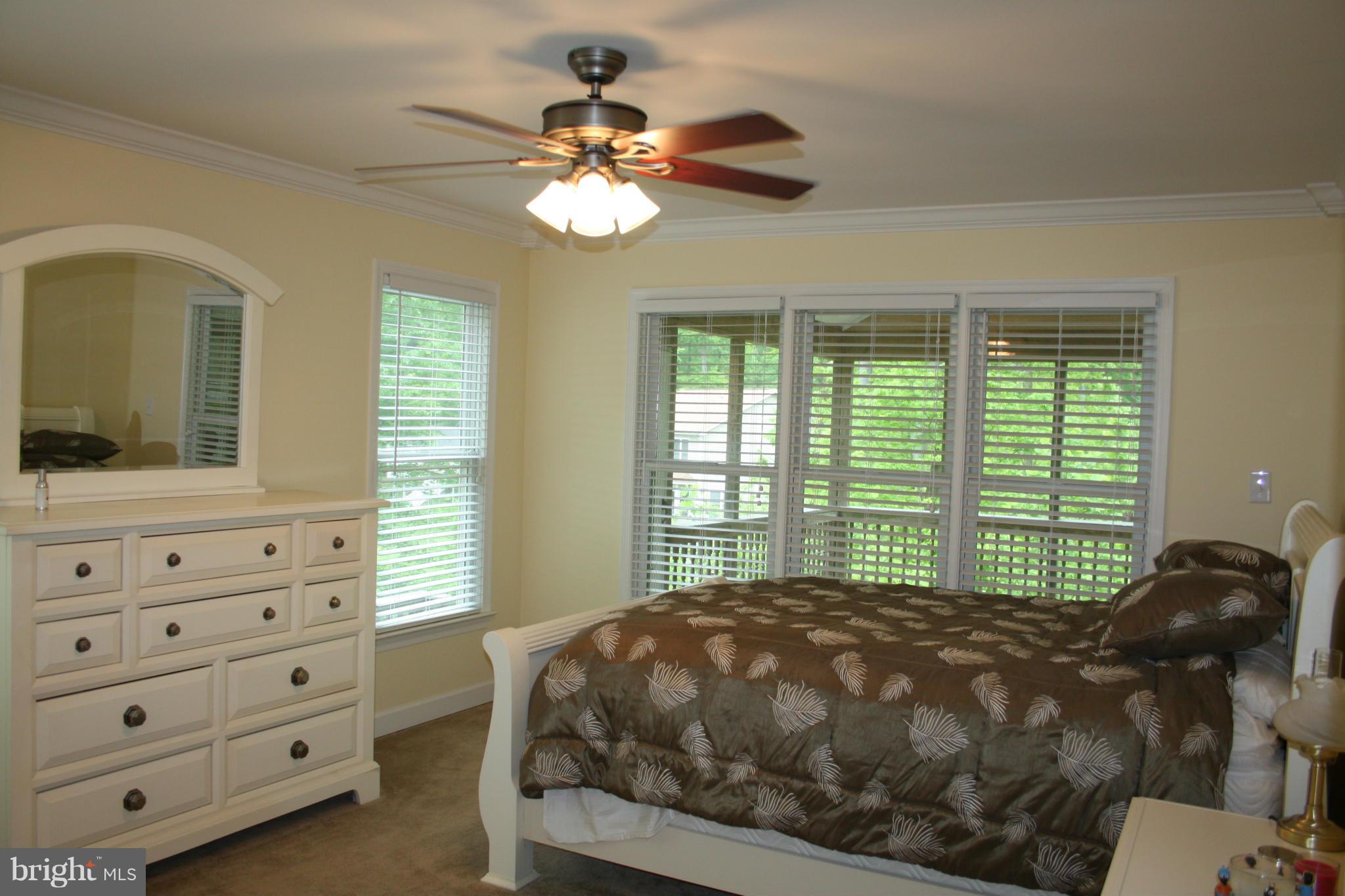 322 Robbie Road Bumpass, VA 23024 - Photo 13 of 29 Bedroom (Master)