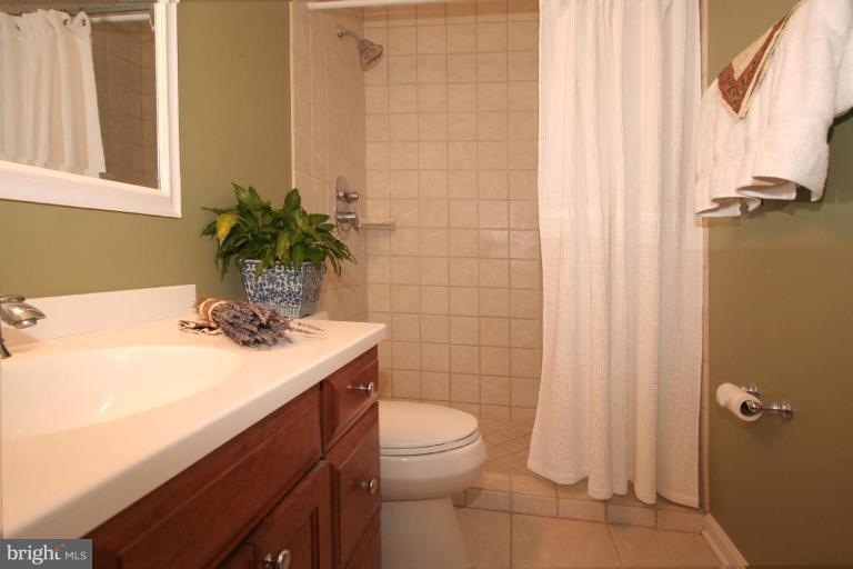 4833 25th Road North Arlington, VA 22207 - Photo 13 of 18 Master Bath