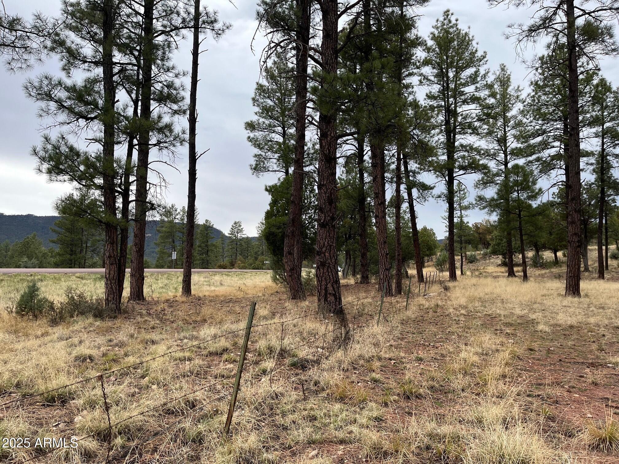 87 North Pine Az 85544 Pine, AZ 85544 - Photo 2 of 9 2