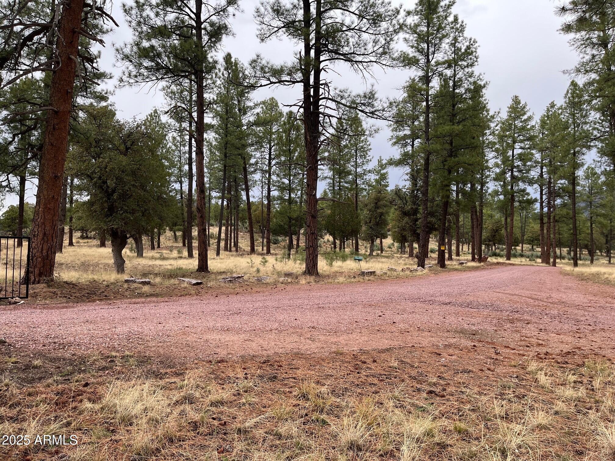 87 North Pine Az 85544 Pine, AZ 85544 - Photo 5 of 9 5