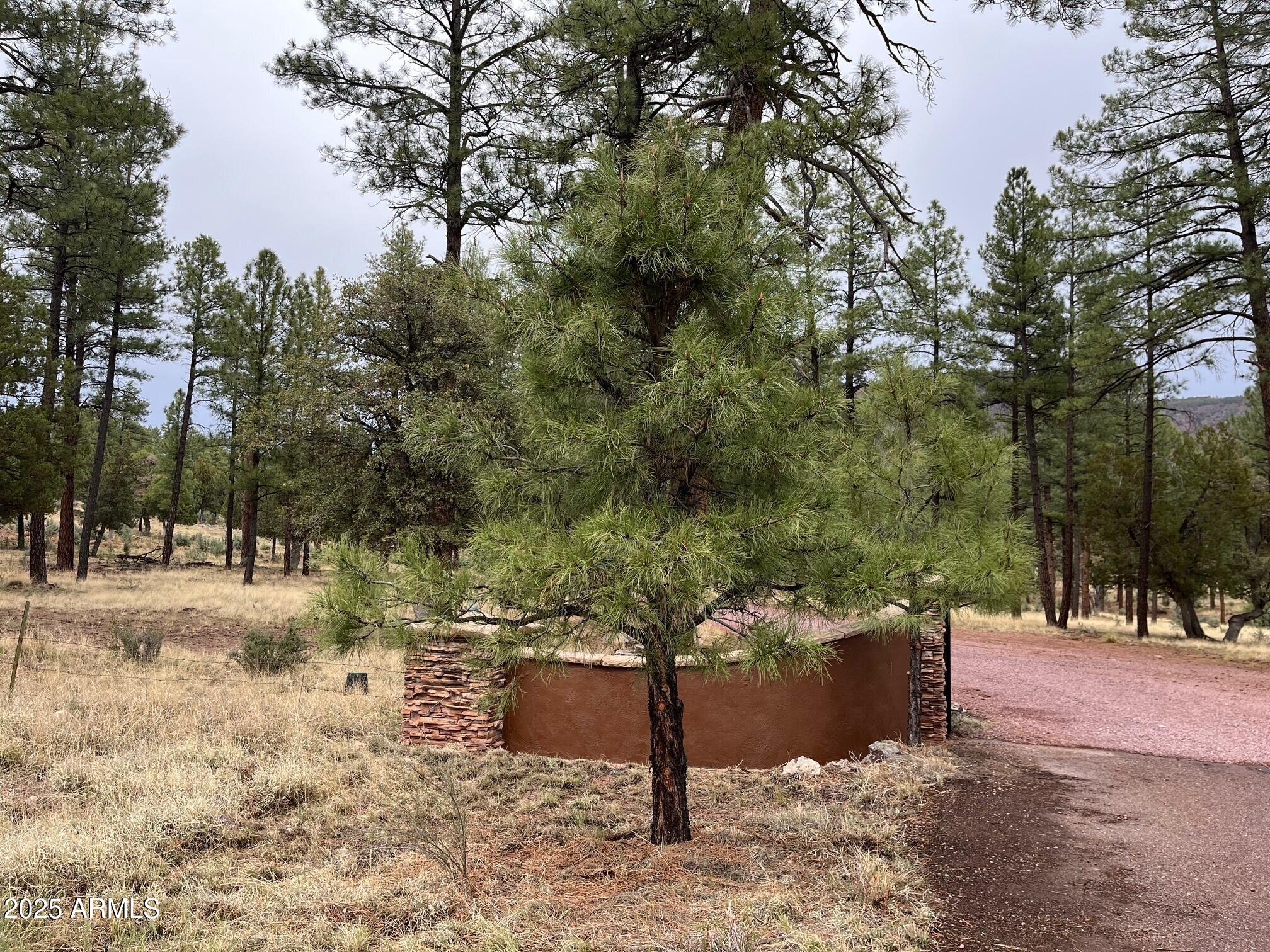 87 North Pine Az 85544 Pine, AZ 85544 - Photo 6 of 9 6