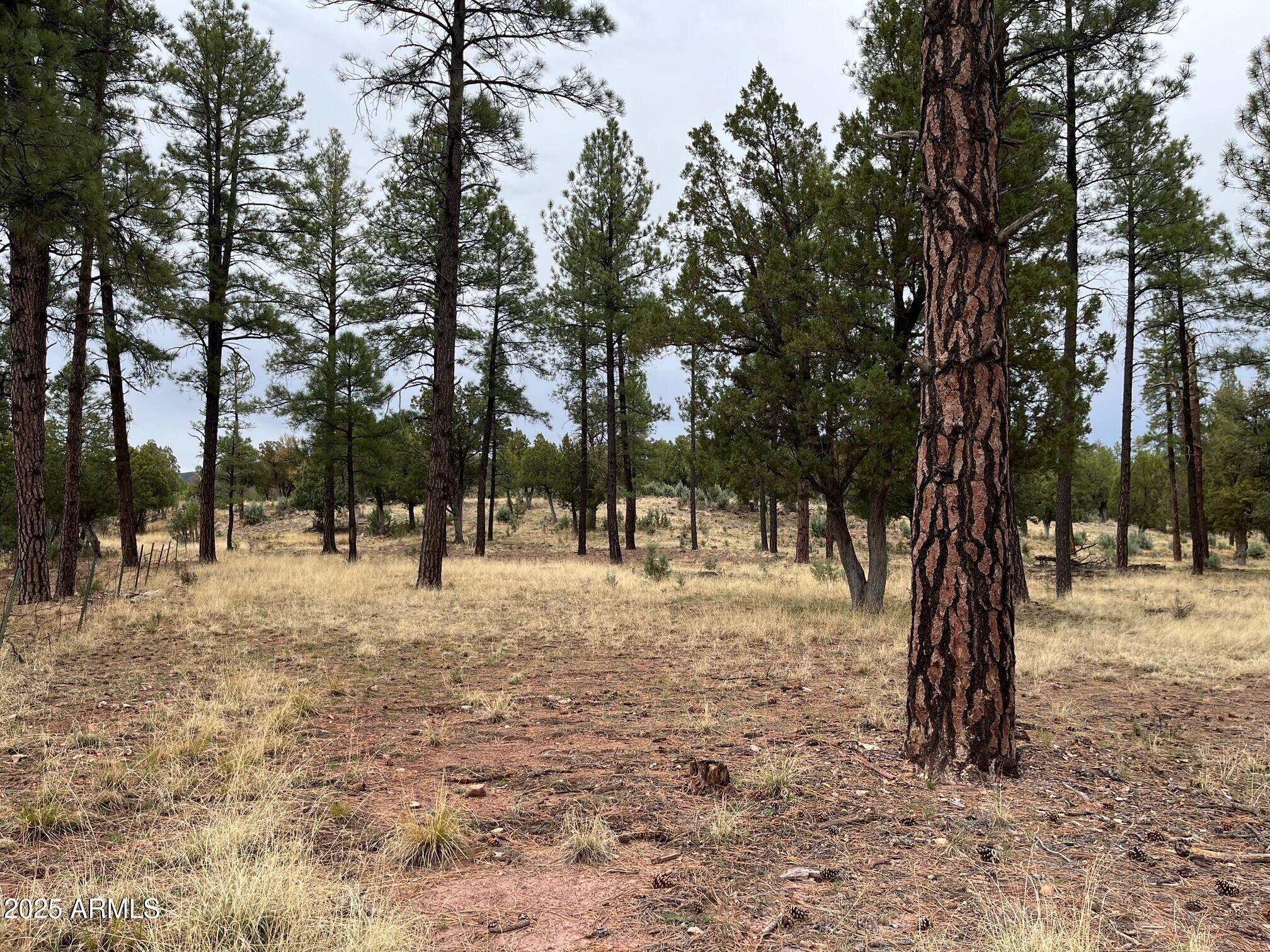 87 North Pine Az 85544 Pine, AZ 85544 - Photo 8 of 9 8