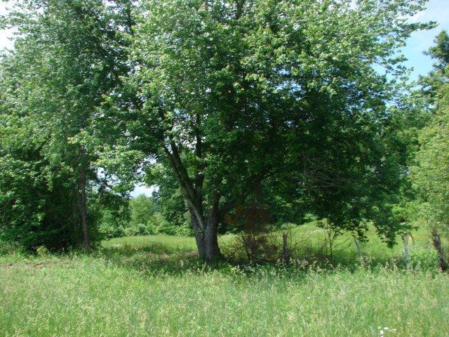 198 Bybee Loop Road Waco, KY 40385 - Photo 1 of 19 Listing Photo