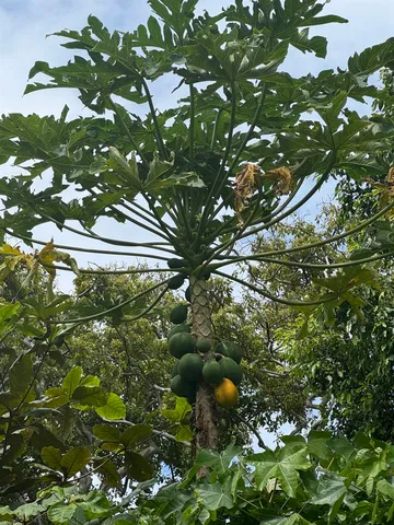 $179,000 | 0 Kamehameha V Highway, Unit 1B, Kaunakakai, HI 96748