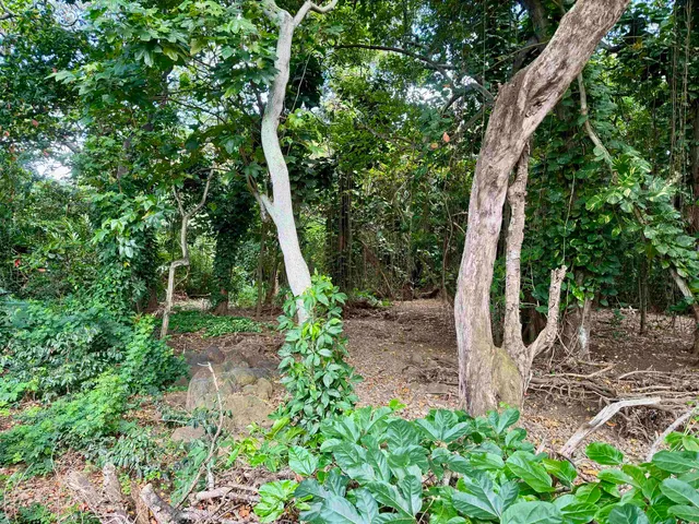 $179,000 | 0 Kamehameha V Highway, Unit 1B, Kaunakakai, HI 96748