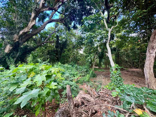 $179,000 | 0 Kamehameha V Highway, Unit 1B, Kaunakakai, HI 96748