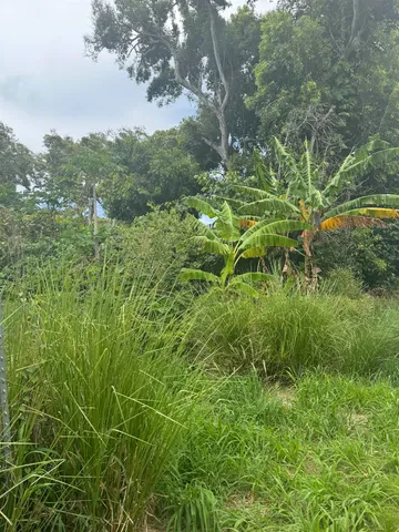 $179,000 | 0 Kamehameha V Highway, Unit 1B, Kaunakakai, HI 96748