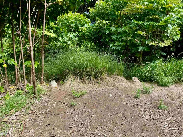 $179,000 | 0 Kamehameha V Highway, Unit 1B, Kaunakakai, HI 96748